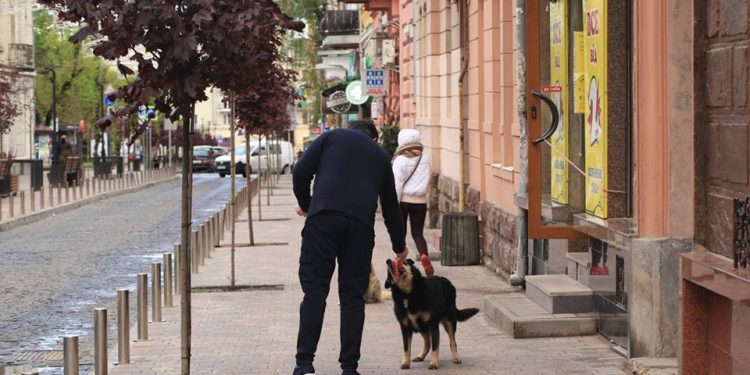 В соцмережі захоплюються вчинком перехожого в центрі Тернополя (Фото)