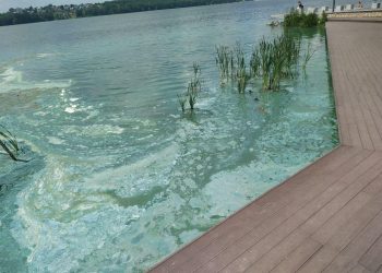 Через що “цвіте і пахне” Тернопільський став?