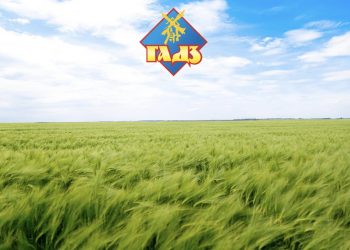 Понад 16 мільйонів гривень сплатило своїм працівникам у вересні підприємство Петра Гадза