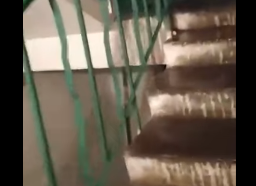 У Тернополі під час зливи затопило під’їзд з 10 по 3 поверх (Відео)