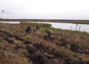 Неподалік Козови волонтери висадили близько 2000 дерев