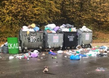 На Тернопільщині люди скаржаться на засмічені вулиці (фото)