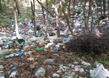 На Бучаччині місцевий ліс перетворили на сміттєзвалище