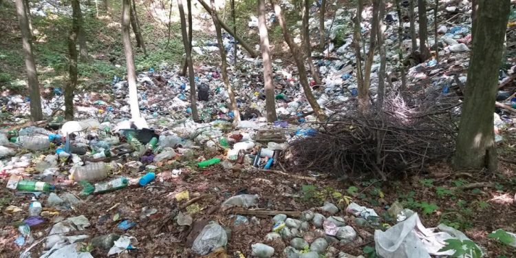 На Бучаччині місцевий ліс перетворили на сміттєзвалище