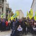 Тернопільські “євробляхери” святкують перемогу (Фото)