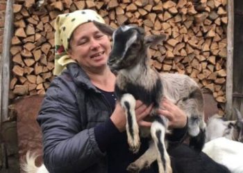 Блогерка з Тернопілля здобула мегапопулярність завдяки своїм козам