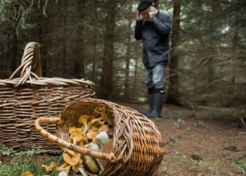 На Тернопільщині спіймали порушника карантину: чоловік повертався з лісу без паспорта