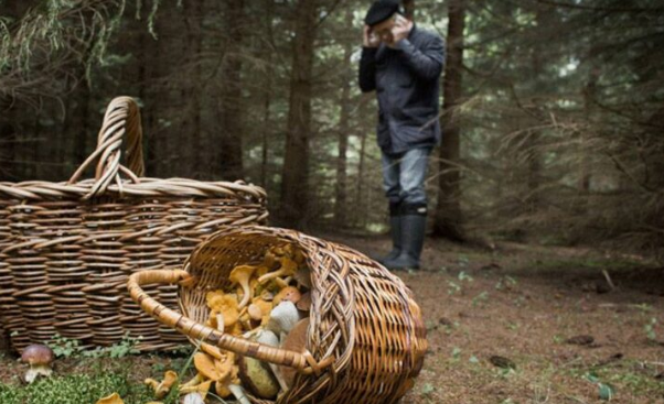 На Тернопільщині спіймали порушника карантину: чоловік повертався з лісу без паспорта