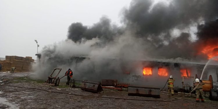 Масштабна пожежа на Тернопільщині: горить підприємство (Фото)