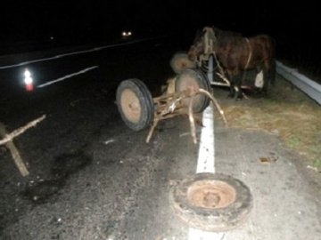 На Тернопільщині водій на “Бумері” протаранив воза: троє людей травмувалося