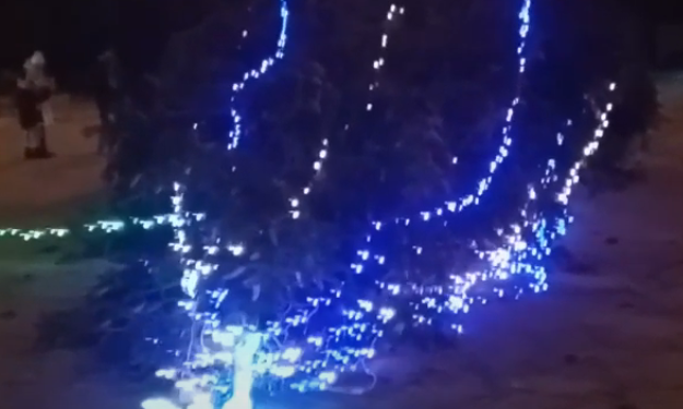 У Тернополі на майдані вітер полавив новорічну красуню (Відео)