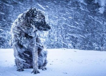 “Морози до -20 градусів”: синоптики зробили радикальний прогноз про тотальне похолодання