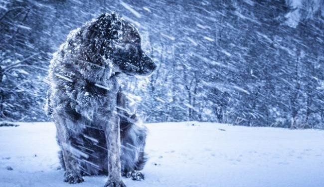 “Морози до -20 градусів”: синоптики зробили радикальний прогноз про тотальне похолодання