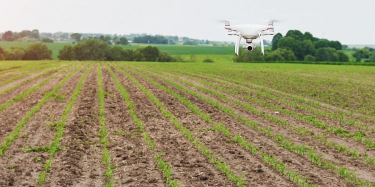  «Контінентал Фармерз Груп» продовжує розвивати точне землеробство