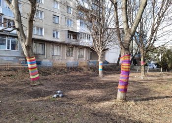 Небайдужі тернополяни намагаються захистити дерева… кольоровими нитками (Фото)