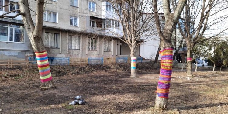 Небайдужі тернополяни намагаються захистити дерева… кольоровими нитками (Фото)