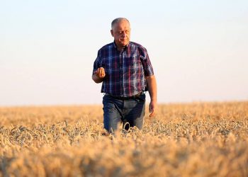 ТзОВ «Бучачагрохлібпром» звітує про податки