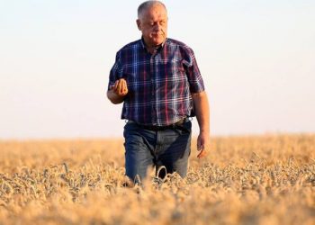 Як відбувалася територіальна реформа на Бучаччині – розповідь Петра Гадза