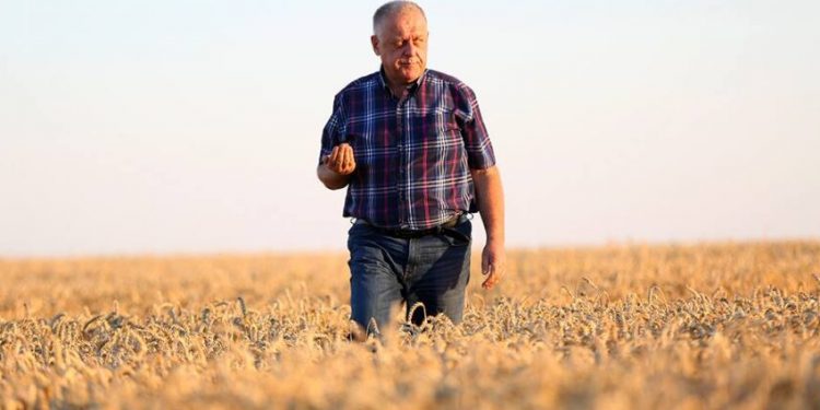 Як відбувалася територіальна реформа на Бучаччині – розповідь Петра Гадза