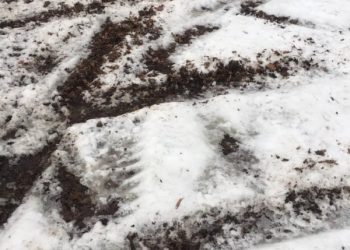 “Діти не мають де тренуватися”: невідомі руйнують лижну трасу в Острові (Фотофакт)