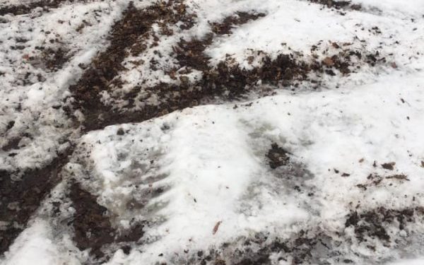 “Діти не мають де тренуватися”: невідомі руйнують лижну трасу в Острові (Фотофакт)