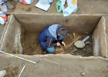 На Тернопільщині тракторист випадково натрапив на поховання, якому 5 тисяч років (Фото)