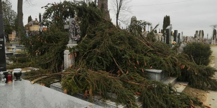 На Тернопільщині комунальники пошкодили могили (Фото)
