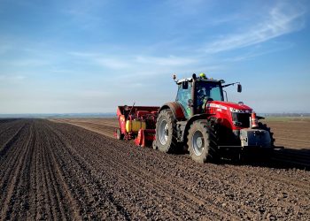 У «Контінентал Фармерз Груп» триває посадка картоплі