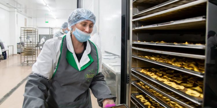 Вклали 600 млн грн інвестицій: на Тернопільщині розширюють потужності заводу з виробництва пюре, джемів, соків та дитячого харчування