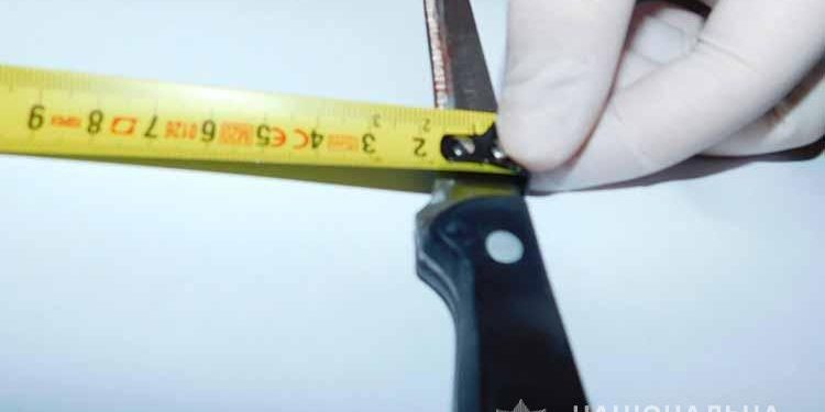 Судитимуть тернополянку, котра вбила співмешканця кухонним ножем