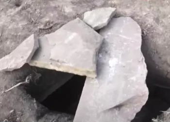 Саркофаг, якому майже 5000 років, випадково виявили в селі на Тернопільщині (Фото)