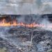 На Тернопільщині через пожежу сухостою мало не згоріла заправка