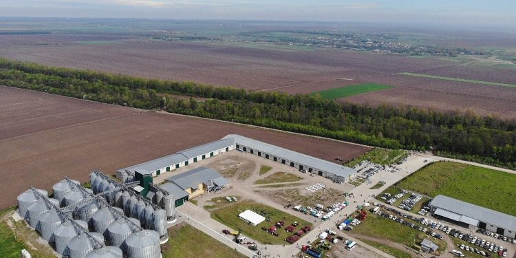 День поля у «Контінентал Фармерз Груп»: ділилися досвідом та запрошували до партнерства