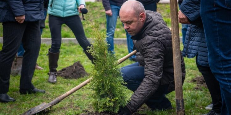 Тернопіль нарощує свої «зелені легені»
