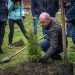 Тернопіль нарощує свої «зелені легені»