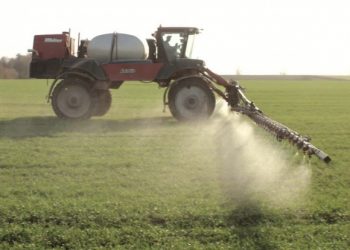 На Тернопільщині поля обприскували шкідливими речовинами