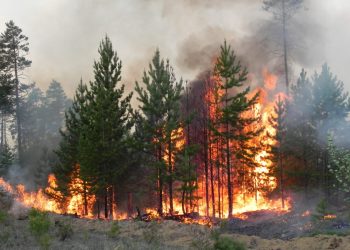 Жителів Тернопільщини попереджають про небезпеку