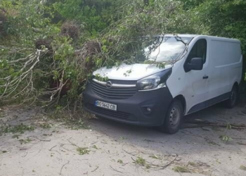 Повалені дерева, потрощені автомобілі і зламаний ліхтар: що накоїв у Тернополі потужний буревій (Фото)