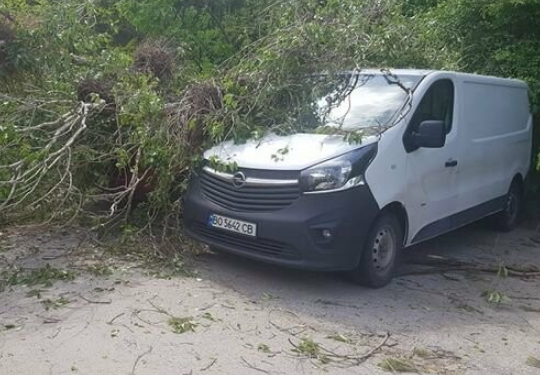 Повалені дерева, потрощені автомобілі і зламаний ліхтар: що накоїв у Тернополі потужний буревій (Фото)