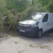 Повалені дерева, потрощені автомобілі і зламаний ліхтар: що накоїв у Тернополі потужний буревій (Фото)