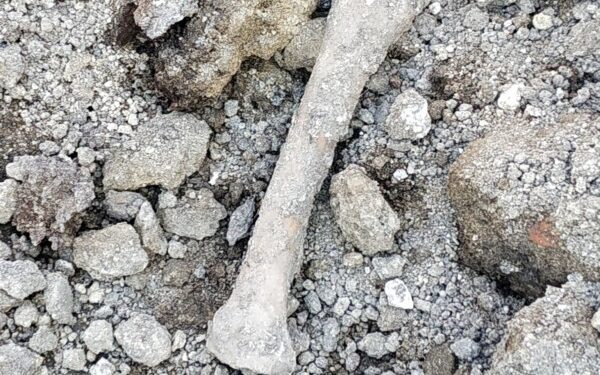 У центрі Тернополя вирили котлован і натрапили на кістки (Фото)