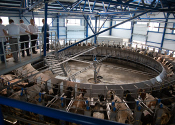 «Бучачагрохлібпром» споруджує на Тернопільщині корівники та доїльні комплекси