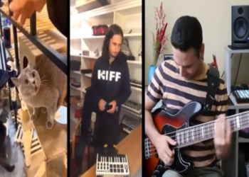 Житель Бережан заспівав разом із котом: Віктор Павлік похвалив його (Відео)