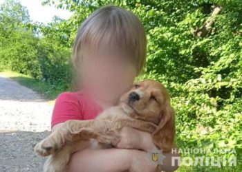 На Тернопільщині розшукували 2-річну дитину (Фото)
