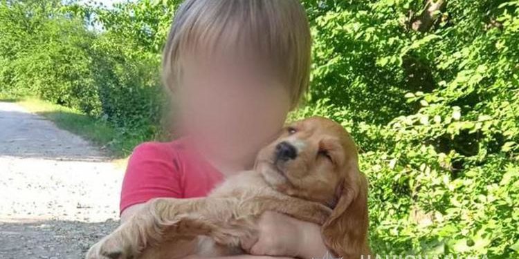 На Тернопільщині розшукували 2-річну дитину (Фото)