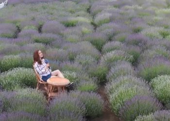 Вбивця організував колишніх зеків, які викрадали вантажі у підприємців (Фото)