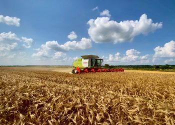 У «Контінентал Фармерз Груп» розпочалися жнива