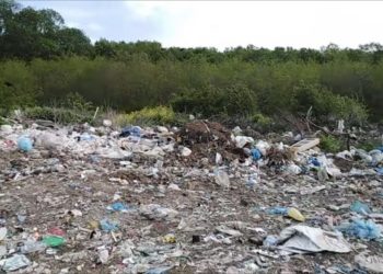 “Господар” з Тернопільщини забруднив землю на мільйон гривень