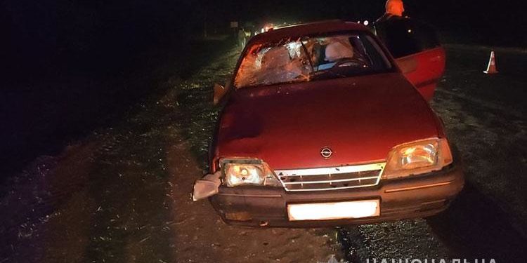 На Тернопільщині водій на “Опелі” збив трьох людей: одна загинула (Фото)