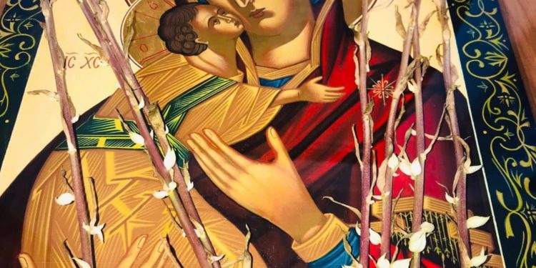 Диво на Тернопільщині: в іконі проросли сухі квіти (Фото)